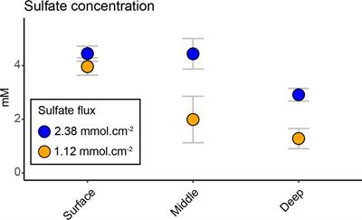 Long-term warming modulates diversity, vertical structuring of microbial communities, and sulfate reduction in coastal Baltic Sea sediments